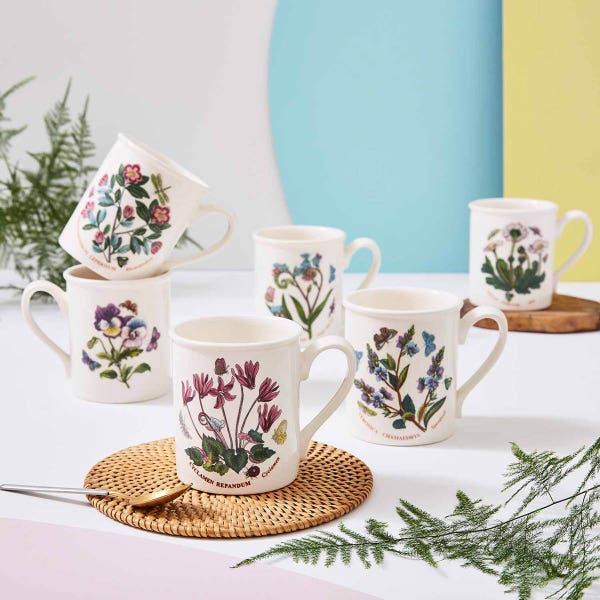 Portmeirion Botanic Garden Set Of 6 Breakfast Mugs