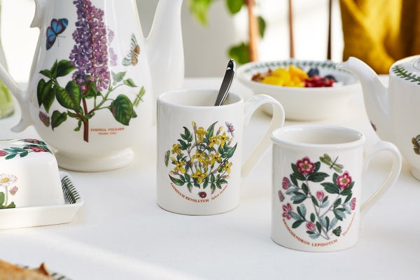 Portmeirion Botanic Garden Set Of 6 Breakfast Mugs
