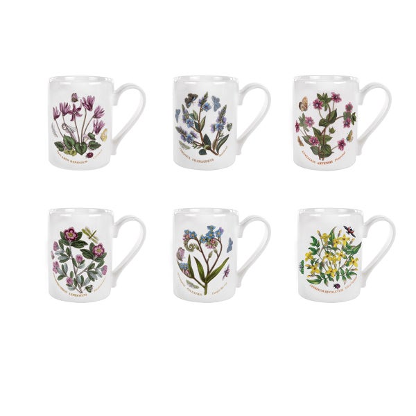 portmeirion Botanic Garden Set of 6 Coffee Mugs