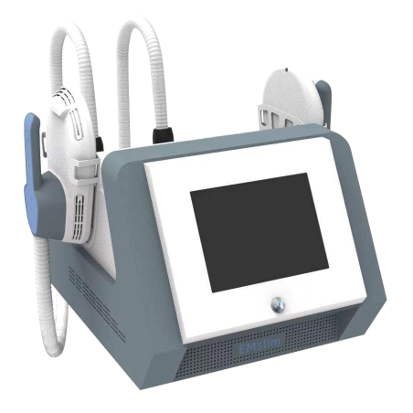 postquam EMS PROFESSIONAL BUILD MUSCLE - FAT BURNING 2 WAYS