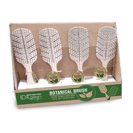 postquam BIODEGRADABLE 12 BRUSH DESPLAY