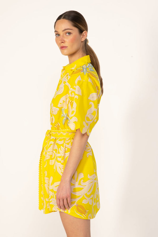 Poupette St Barth Mini Dress Wes