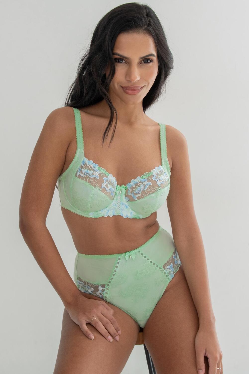 Pour Moi Sofia Lace Embroidered Deep Brief - Pistachio/Blue