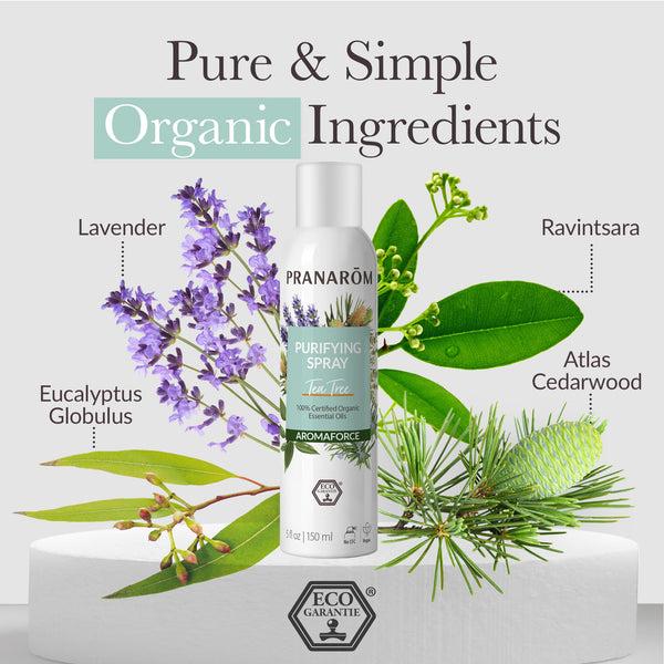 Pranarôm Aromaforce Tea Tree Purifying Spray - Organic