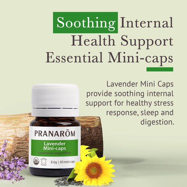 Pranarôm Aromaforce Lavender Mini-Caps - Organic