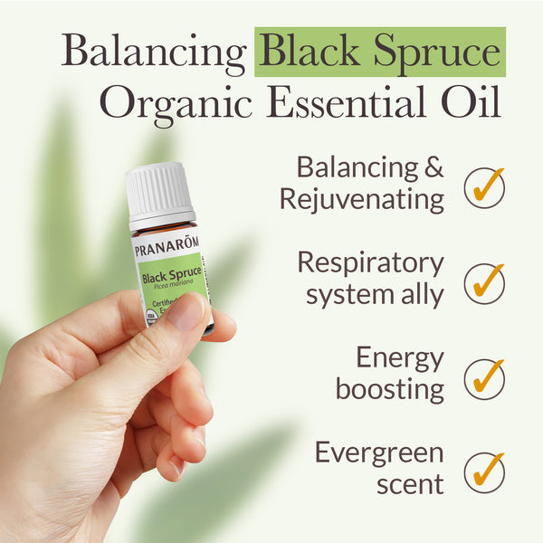Pranarôm Black Spruce Essential Oil - Organic