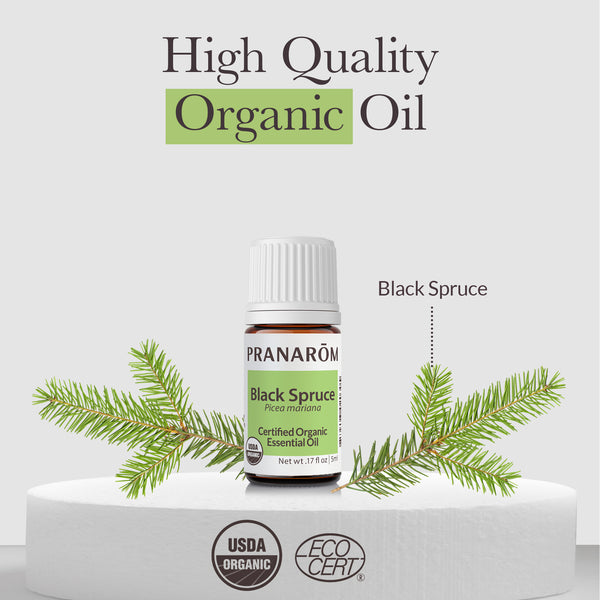 Pranarôm Black Spruce Essential Oil - Organic