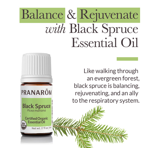 Pranarôm Black Spruce Essential Oil - Organic