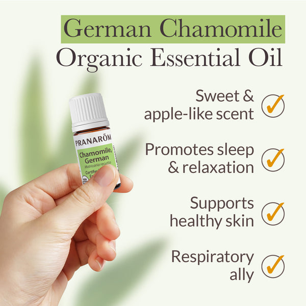 Pranarôm Chamomile German Essential Oil - Organic