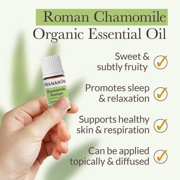 Pranarôm Chamomile Roman Essential Oil - Organic