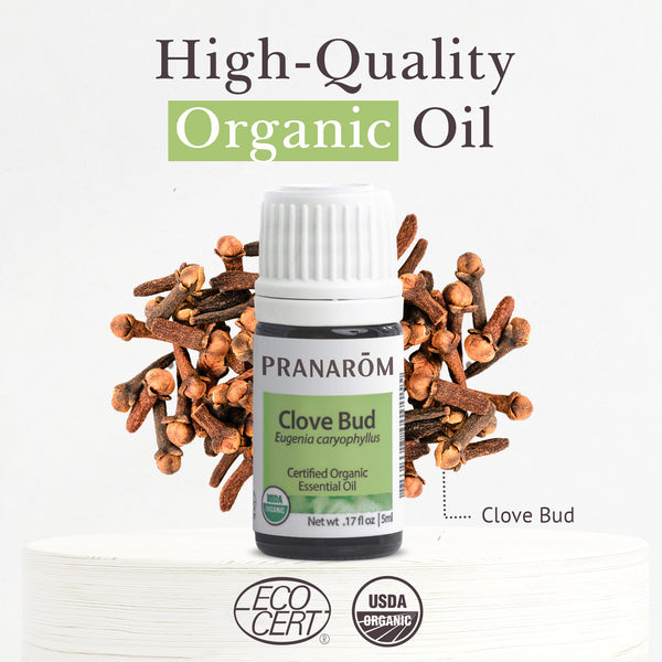 Pranarôm Clove Bud Essential Oil - Organic