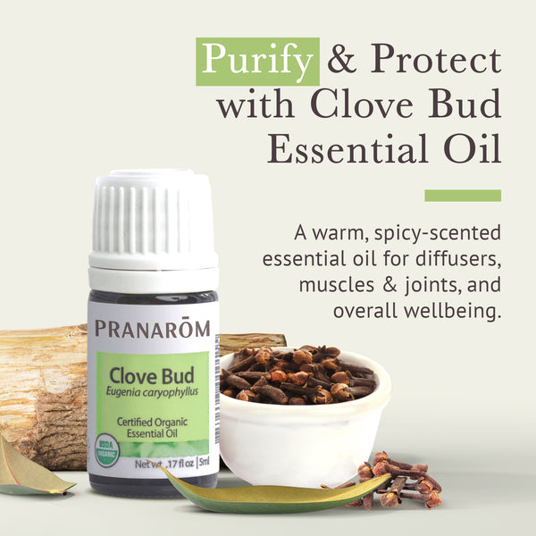 Pranarôm Clove Bud Essential Oil - Organic