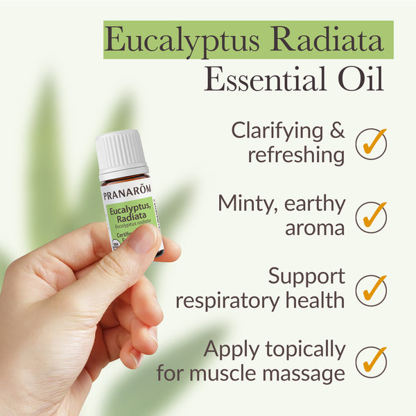Pranarôm Eucalyptus Radiata Essential Oil - Organic