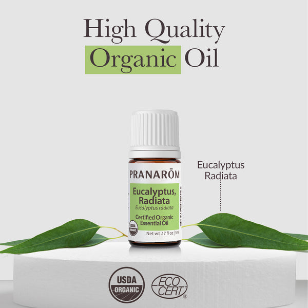 Pranarôm Eucalyptus Radiata Essential Oil - Organic