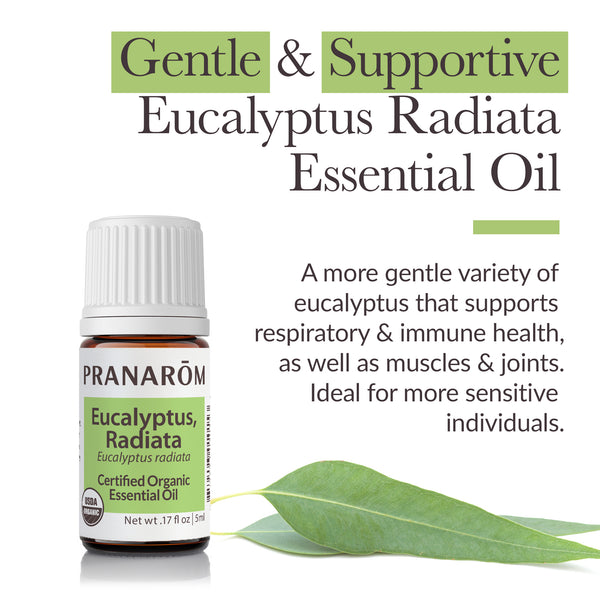 Pranarôm Eucalyptus Radiata Essential Oil - Organic