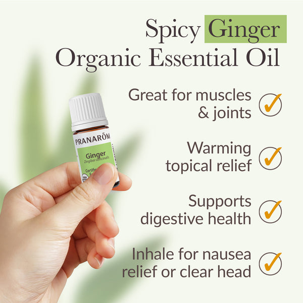 Pranarôm Ginger Essential Oil - Organic