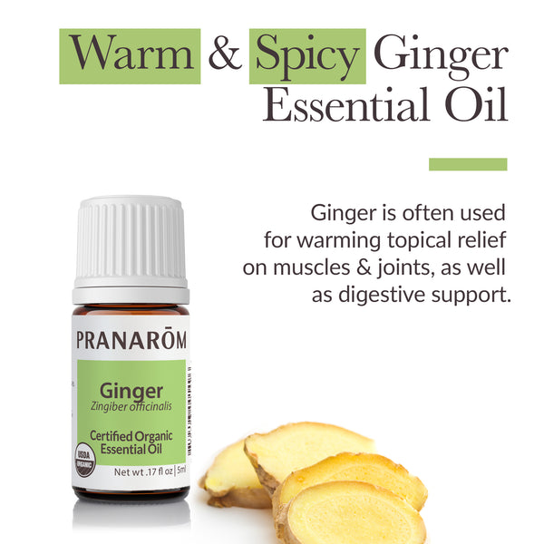 Pranarôm Ginger Essential Oil - Organic