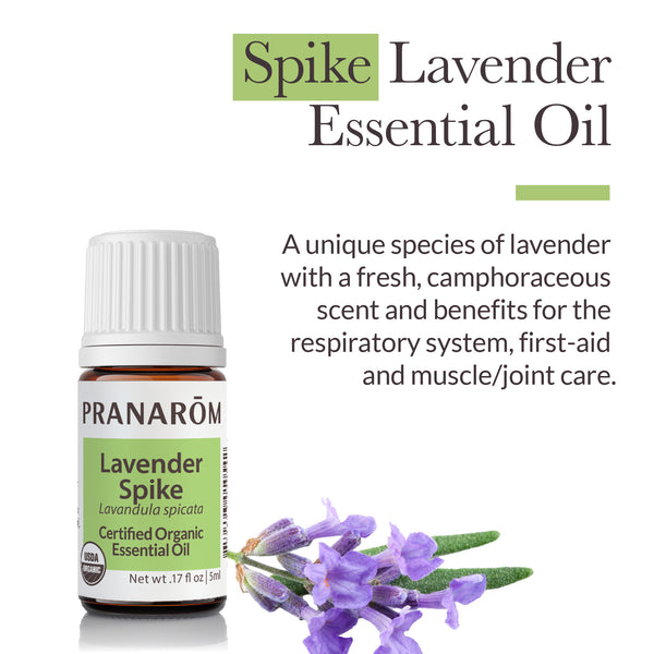 Pranarôm Lavender Spike Essential Oil - Organic
