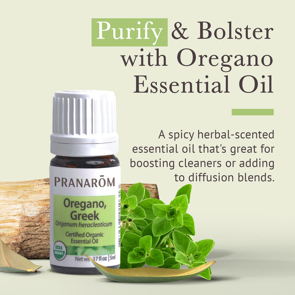 Pranarôm Oregano Greek Essential Oil - Organic