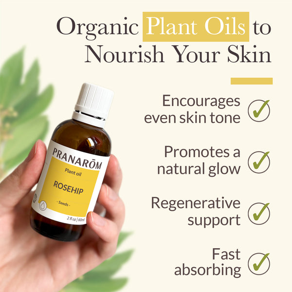 Pranarôm Rosehip Virgin Plant Oil - Organic