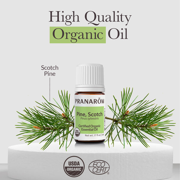 Pranarôm Scotch Pine Essential Oil - Organic