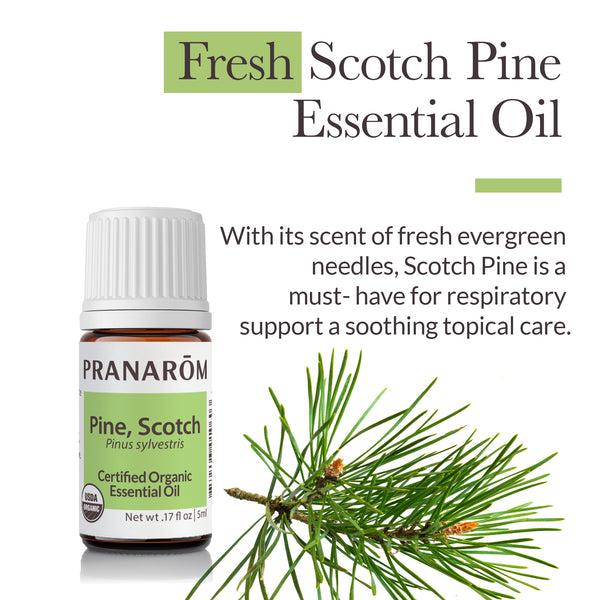Pranarôm Scotch Pine Essential Oil - Organic