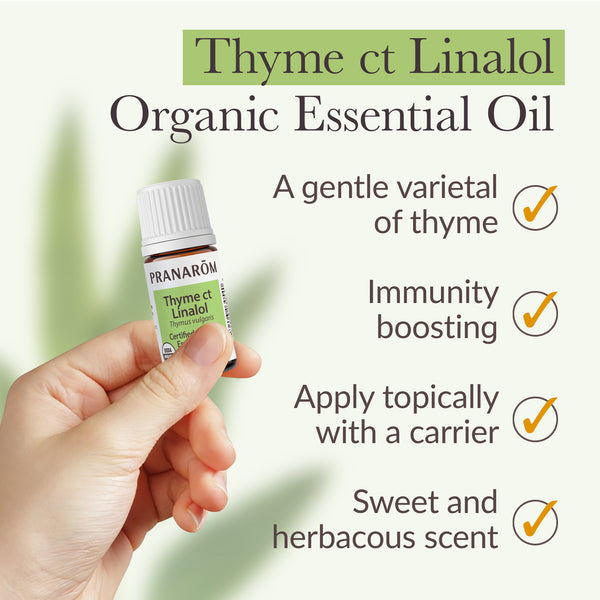 Pranarôm Thyme Ct Linalol Essential Oil - Organic