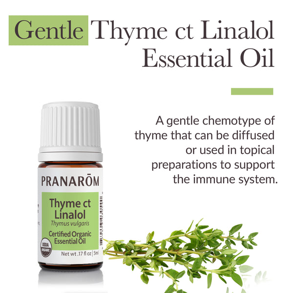 Pranarôm Thyme Ct Linalol Essential Oil - Organic