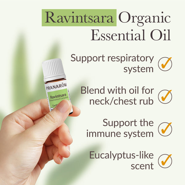 Pranarôm Ravintsara Ct 1 8 Cineole Essential Oil - Organic