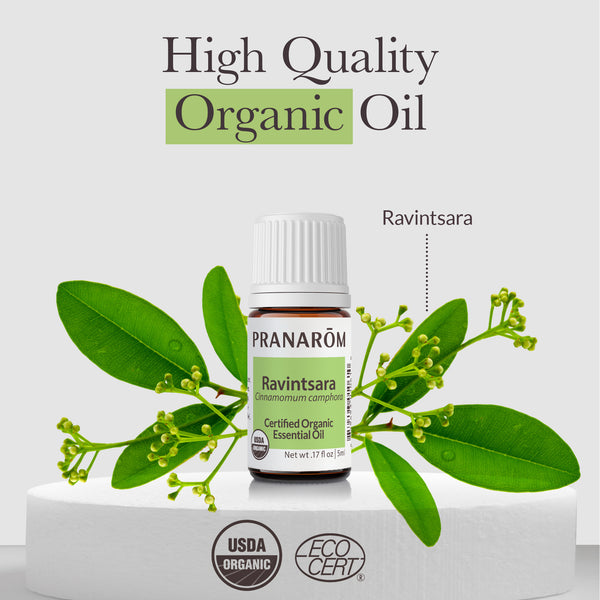 Pranarôm Ravintsara Ct 1 8 Cineole Essential Oil - Organic
