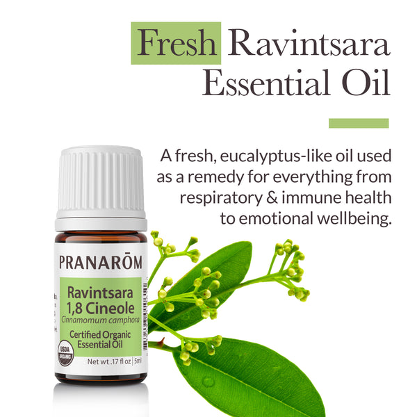 Pranarôm Ravintsara Ct 1 8 Cineole Essential Oil - Organic