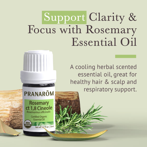 Pranarôm Rosemary Ct 1 8 Cineole Essential Oil - Organic