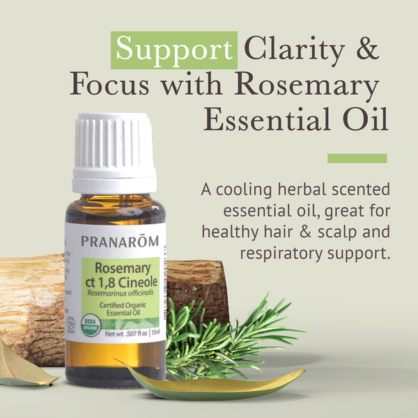 Pranarôm Rosemary Ct 1 8 Cineole Essential Oil - Organic
