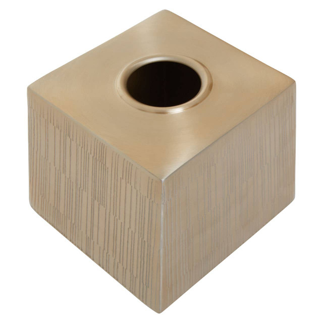 Premier Housewares Allegra Champagne Finish Tissue Box