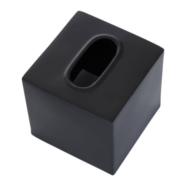 Premier Housewares Allegra Stainless Steel Black Tissue Box