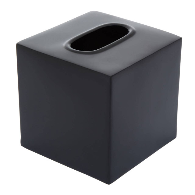 premier housewares Allegra Stainless Steel Black Tissue Box