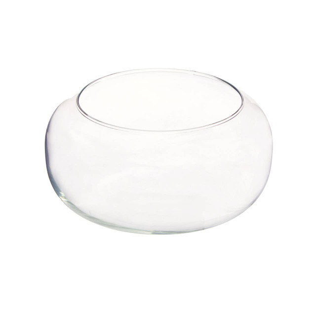 Premier Housewares Ambra Clear Glass Bouquet Globe Vase