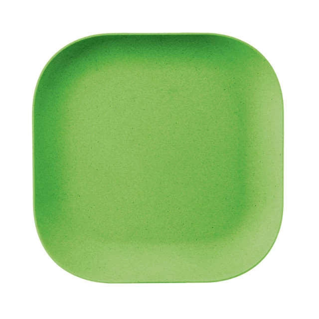premier housewares Eden Green Bamboo Fibre Dinner Plate