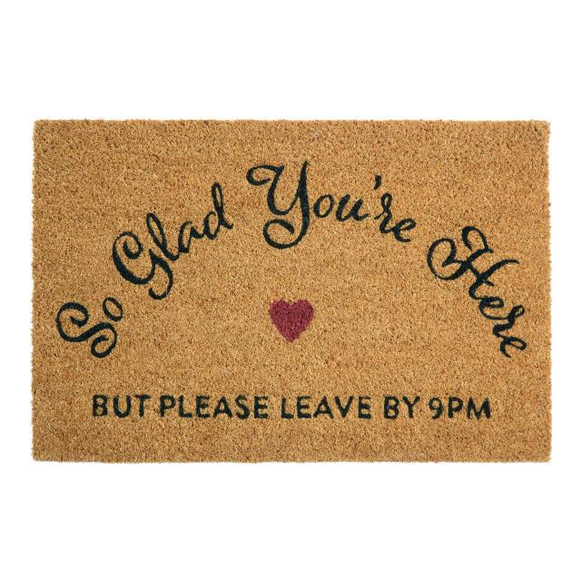 premier housewares Filta So Glad You Are Here Doormat