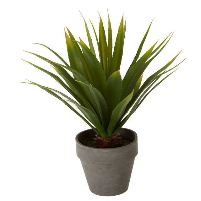 Premier Housewares Fiori Agave Succulent In Grey Pot