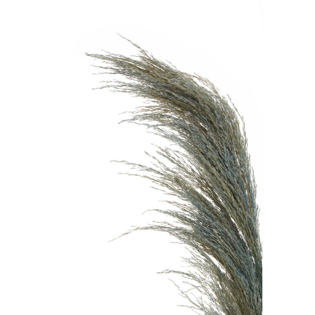Premier Housewares Fiori Blue Tall Pampas Grass Stem