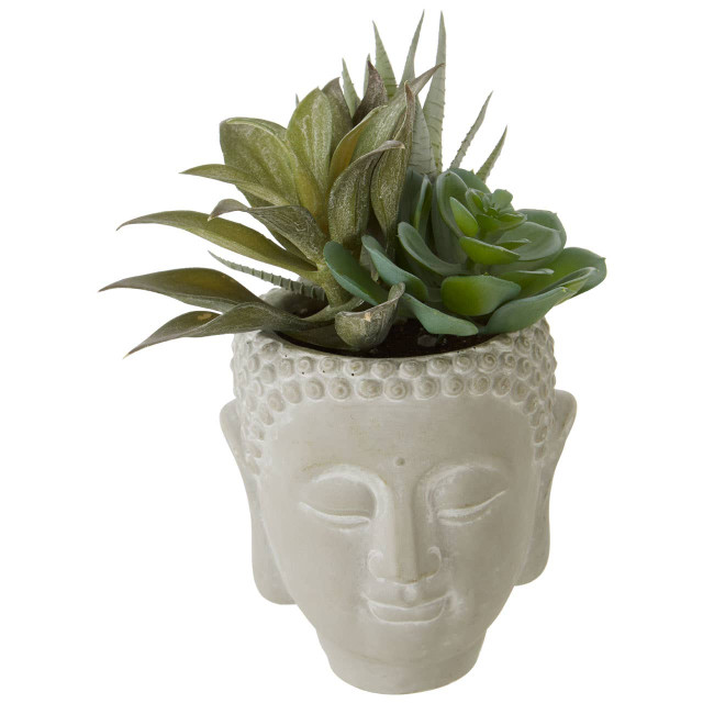 Premier Housewares Fiori Buddha Pot Mixed Succulent