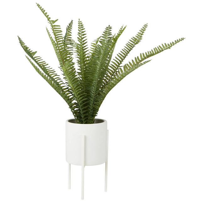 premier housewares Fiori Fern in White Cement Pot on Stand