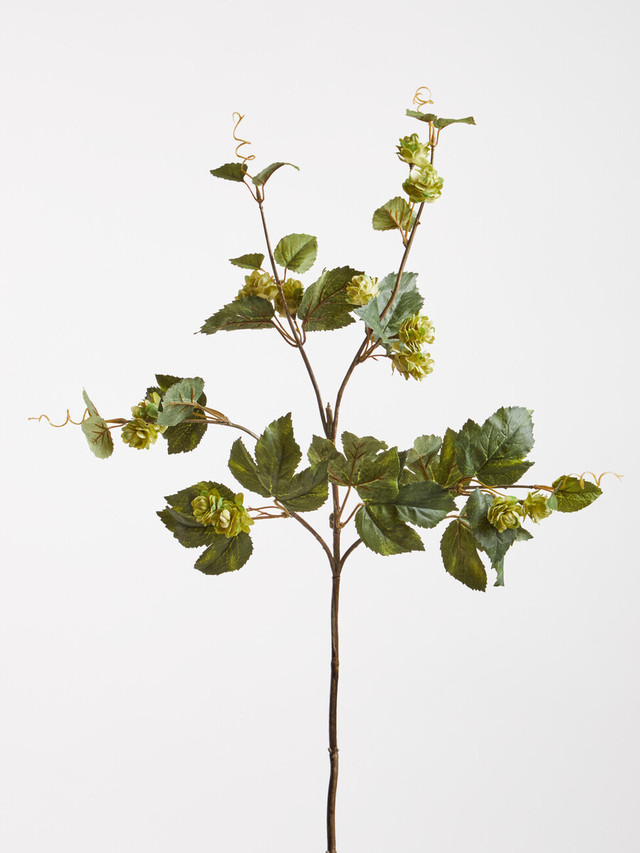 Premier Housewares Fiori Green Hop Flower Spray Stem