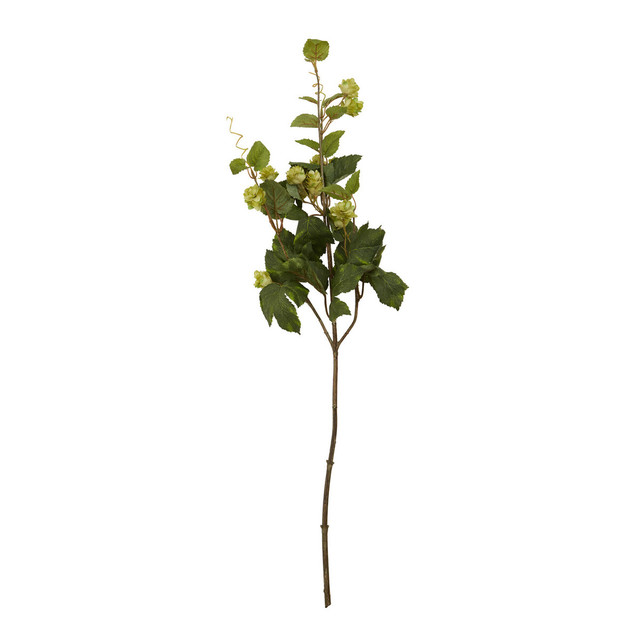 premier housewares Fiori Green Hop Flower Spray Stem
