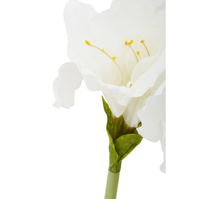 Premier Housewares Fiori Ivory Amarylilis Flower Stem