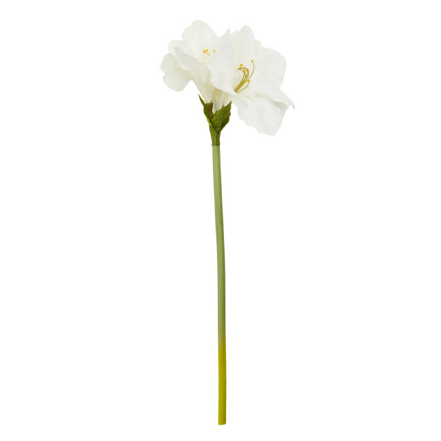 premier housewares Fiori Ivory Amarylilis Flower Stem