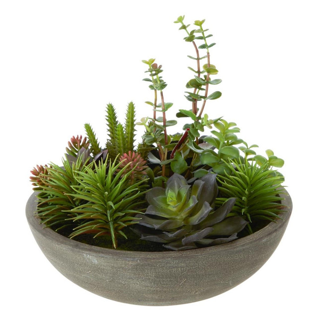 Premier Housewares Fiori Mixed Succulent In Stone Effect Pot