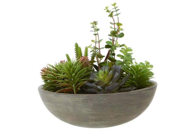 premier housewares Fiori Mixed Succulent In Stone Effect Pot