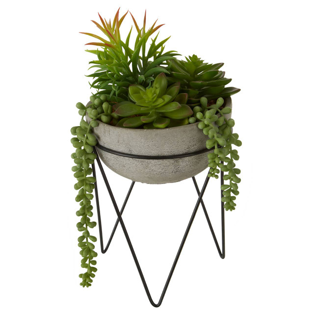 Premier Housewares Fiori Mixed Succulent With Metal Stand
